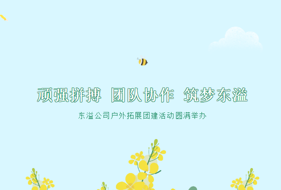 顽强拼搏 团队协作 筑梦东溢 --东溢公司户外拓展团建活动圆满举办